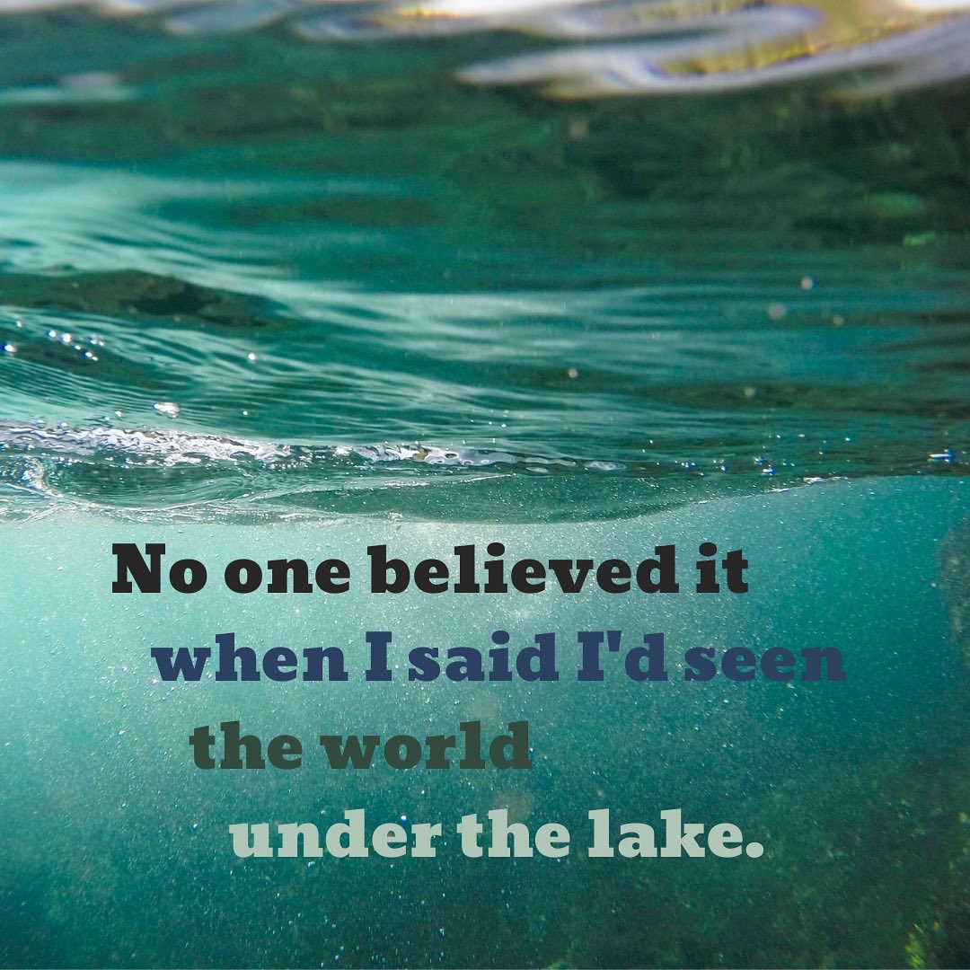 HallLibrary's tweet photo. Lake Lore by Anna-Marie McLemore is a YA fantasy novel following two non-binary teens who are pulled into a magical world under a lake.
Stop by the library to take a look at this book and to check out your next independent reading book!
#schoollibrary #firstsentencefriday https://t.co/8FuRmKdJSc