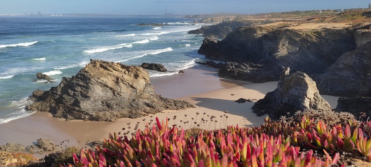 Jack Moscrop tweet media