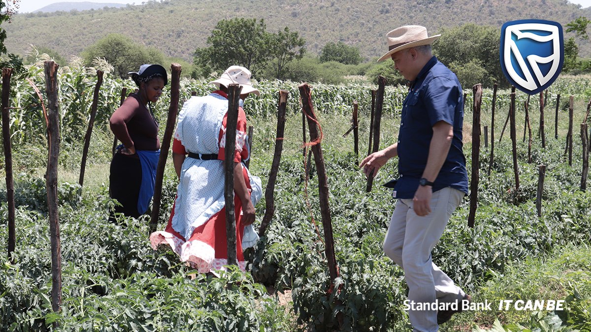 StandardBankZA's tweet photo. OneFarm Share assisted the emerging farmers of uMsinga in KZN with the recent potato season. Market-price was secured, packaging standardised, & much-needed transport provided. Read about it in the @BDliveSA Human Rights Supplement, out now. #OneFarmShare #ItCanBe https://t.co/zQ0IBmqugv