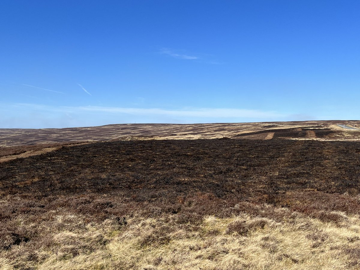 How much longer do we have to put up with this in our fragile upland environments so that a few wealthy people can have their ‘sport’? Despite the scorched earth a skylark was singing, for now at least. #northpenninesaonb #environmentalcrisis
