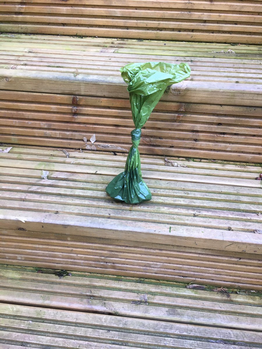 asifamhp's tweet photo. All the help, support & supervision I don’t need #AMHPpottering #AMHPhound #PooPatrol🐶💩✔️ https://t.co/e1xlbuuUZ4
