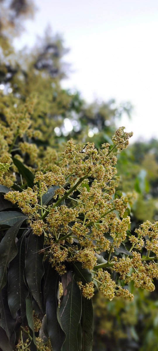 Kisan It Cell tweet media