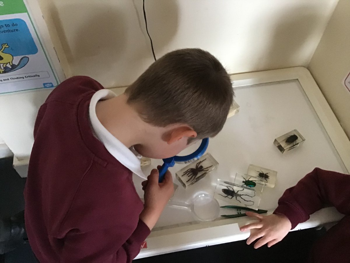 GomersalPrimarySTEM tweet media