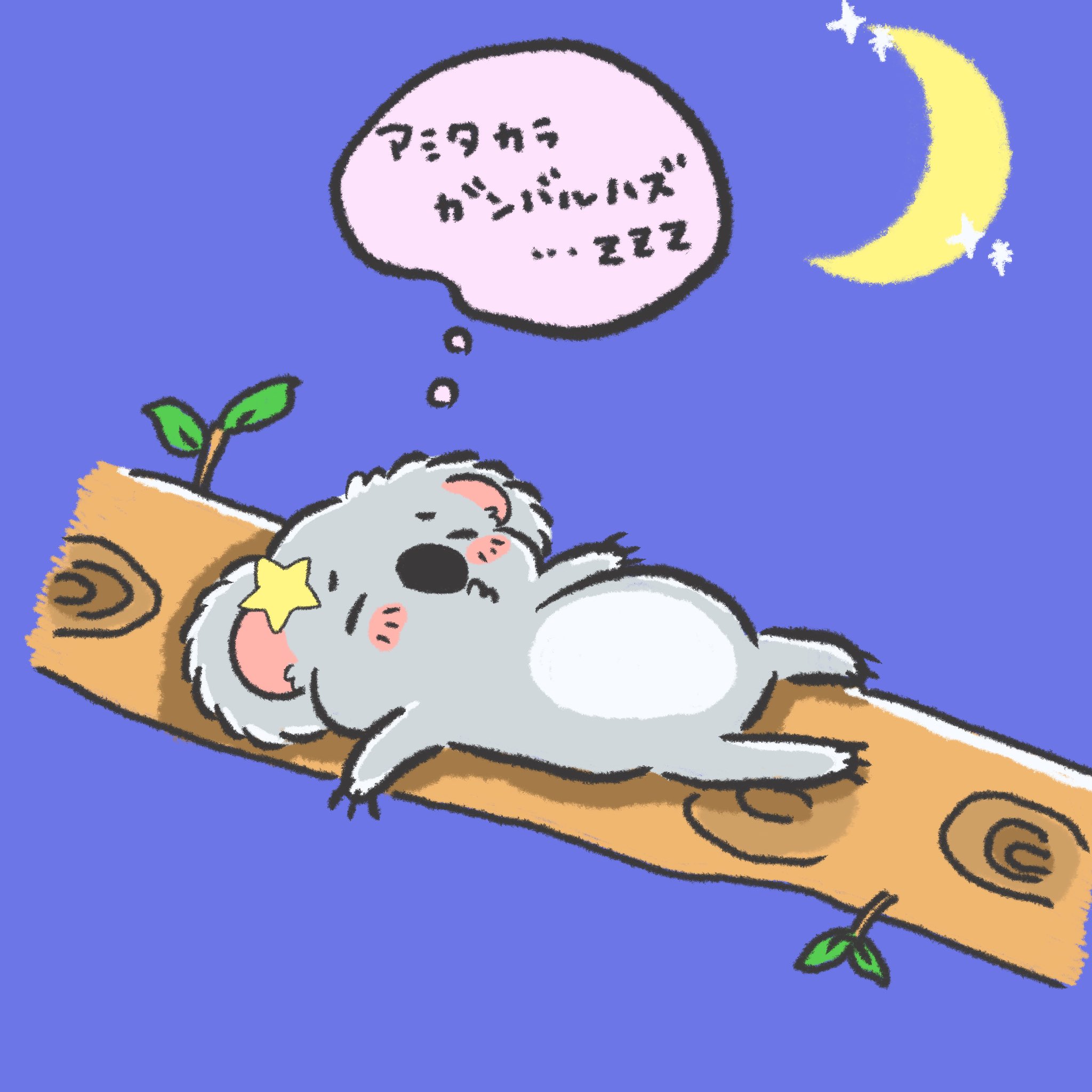 Maruru 明日から頑張ると決めた魔女っコアラ コアラ寝てばっかだな コアラ コアライラスト 動物イラスト おやすみなさい 明日から頑張る Koala Procreate イラスト好きな人と繋がりたい 動物好きさんと繋がりたい T Co