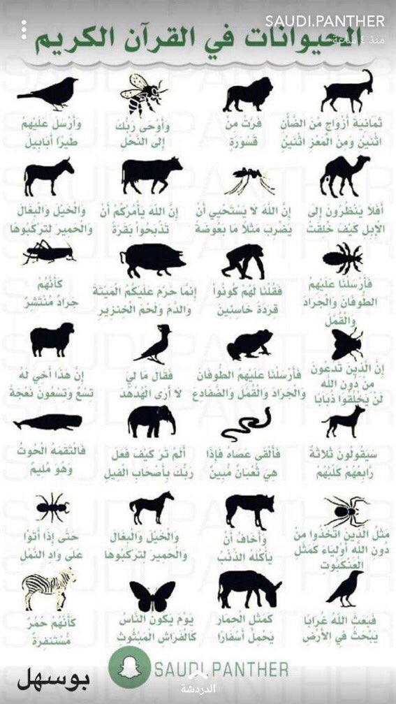 الحيوانات ف القرآن الكريم:

"ويَضرب الله الأمثالَ للناس لعلهم يتذكرون"
