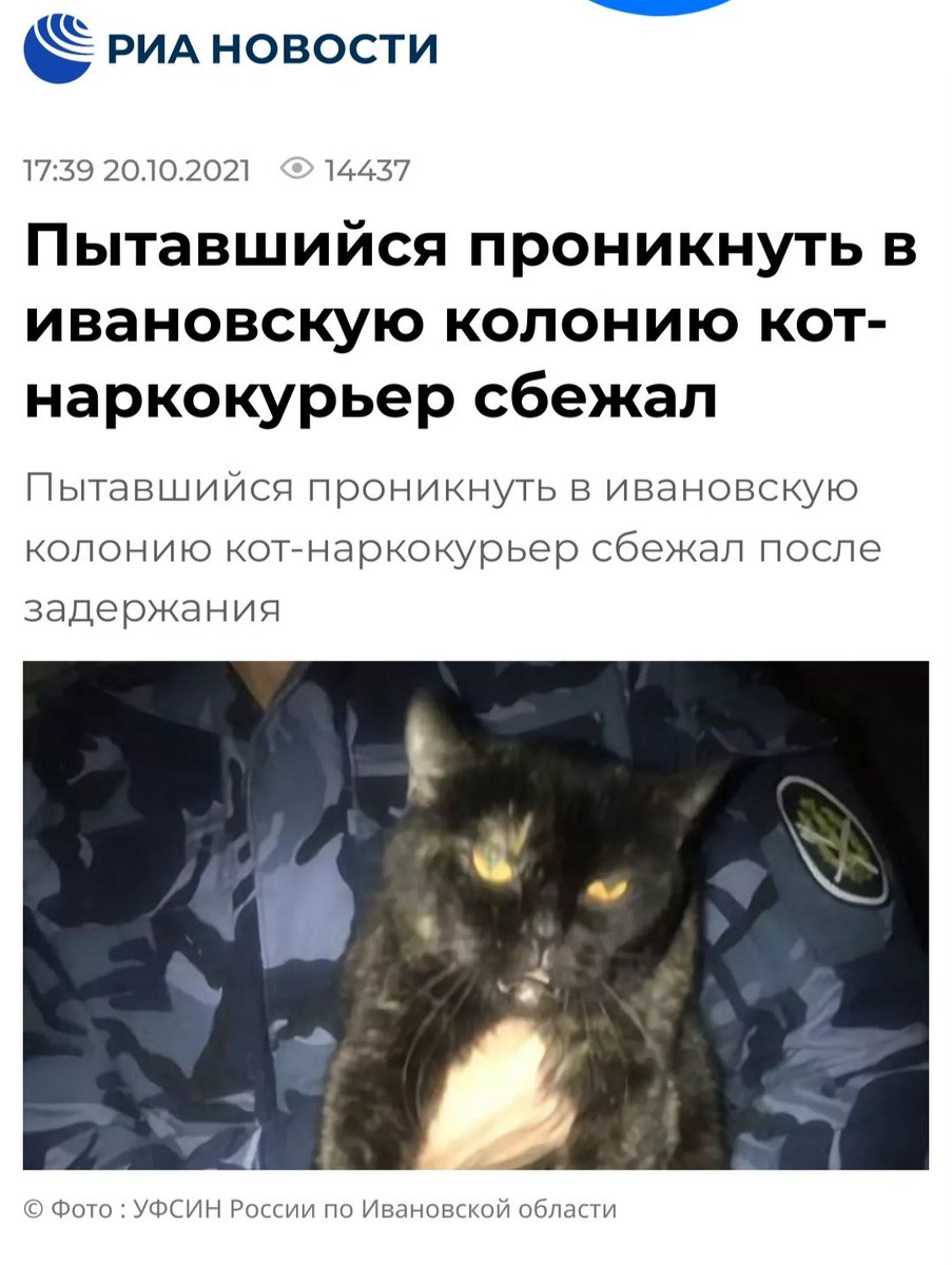 Аннушка tweet media