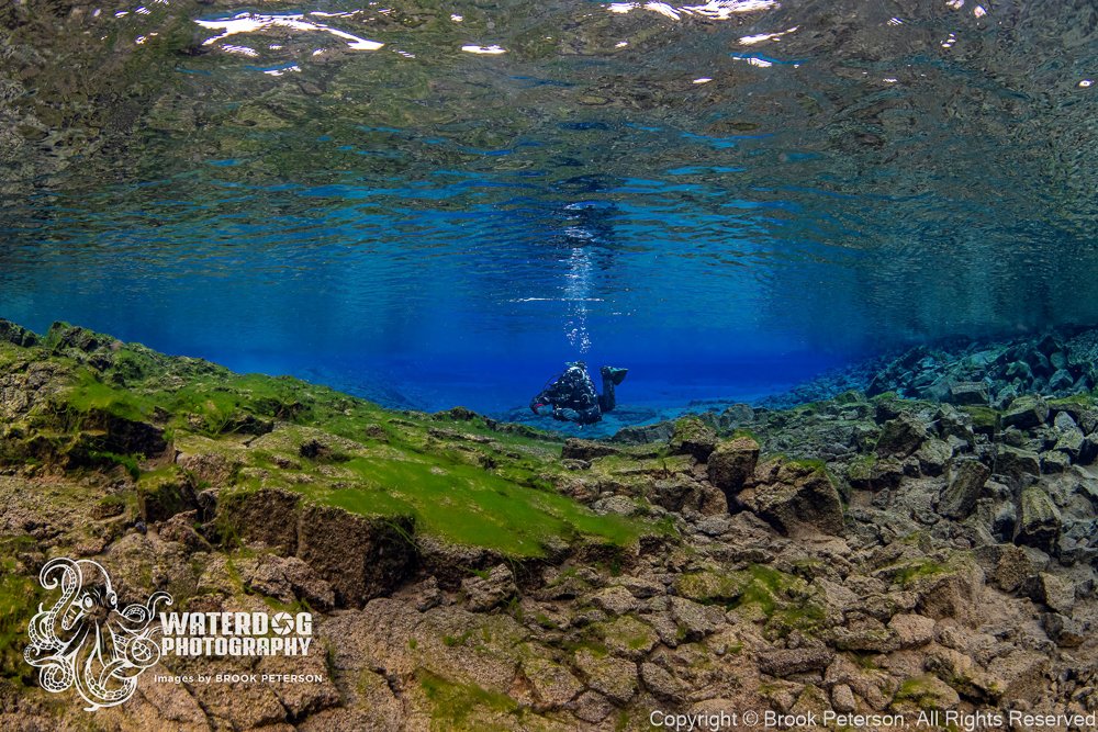 WaterdogBrook's tweet photo. Uncommon Diving for Extraordinary Underwater Photography - https://t.co/K4cdZmty05 https://t.co/sgrduNhpAg