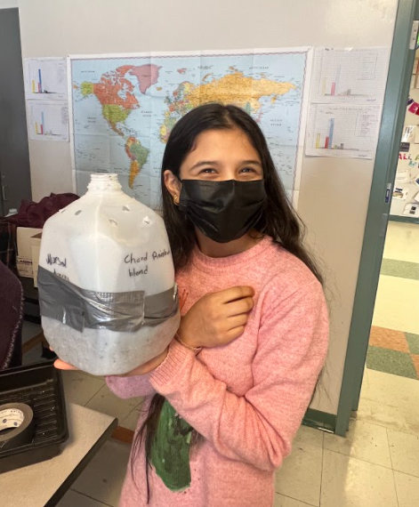 AIC_Dual's tweet photo. Ms. Siy's Environmental Studies class worked with @vegetableprojec to make mini-greenhouses out of milk jugs and plant seeds that will sprout early in the spring. The jugs are outside and we will watch what happens over time! @AlbanyENL #allinforalbany @albanyschools https://t.co/S2TgAwgMzf