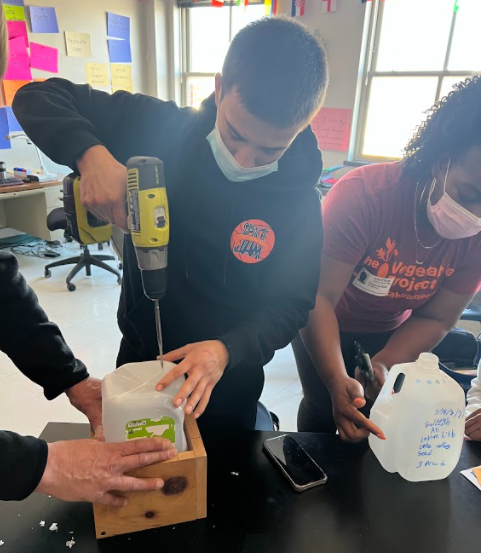 AIC_Dual's tweet photo. Ms. Siy's Environmental Studies class worked with @vegetableprojec to make mini-greenhouses out of milk jugs and plant seeds that will sprout early in the spring. The jugs are outside and we will watch what happens over time! @AlbanyENL #allinforalbany @albanyschools https://t.co/S2TgAwgMzf