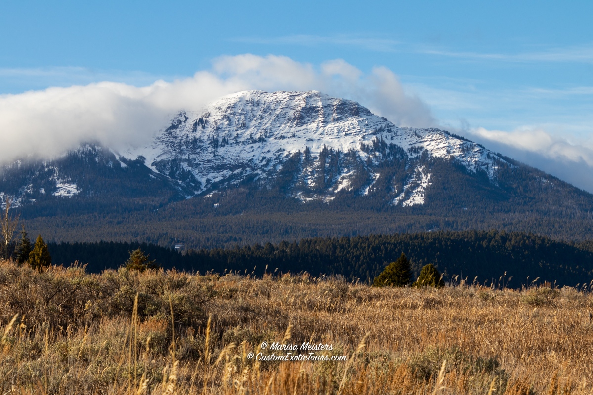 WorldwideXplore's tweet photo. Mountains at Henrys Lake State Park, #Idaho.

#travelwithme #USAtravel #NorthAmericaTravel #TRLT #travelidea  #UniqueTravel #educationaltravel #postcardsfromtheworld #HenrysLake #HenrysLakeStatePark #statepark #mountains #fallcolors #autumn #autumncolors #orange https://t.co/Yt7mwTI3D3