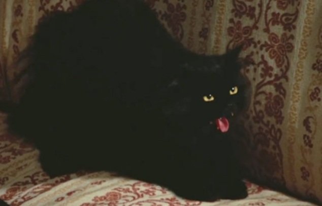 Cw: gore, sex, animal abuse, and more- this is a horror movie made for adults

Today's black cat is Satan from the film Your Vice Is a Locked Room and Only I Have the Key! 🐈‍⬛💕💕🖤