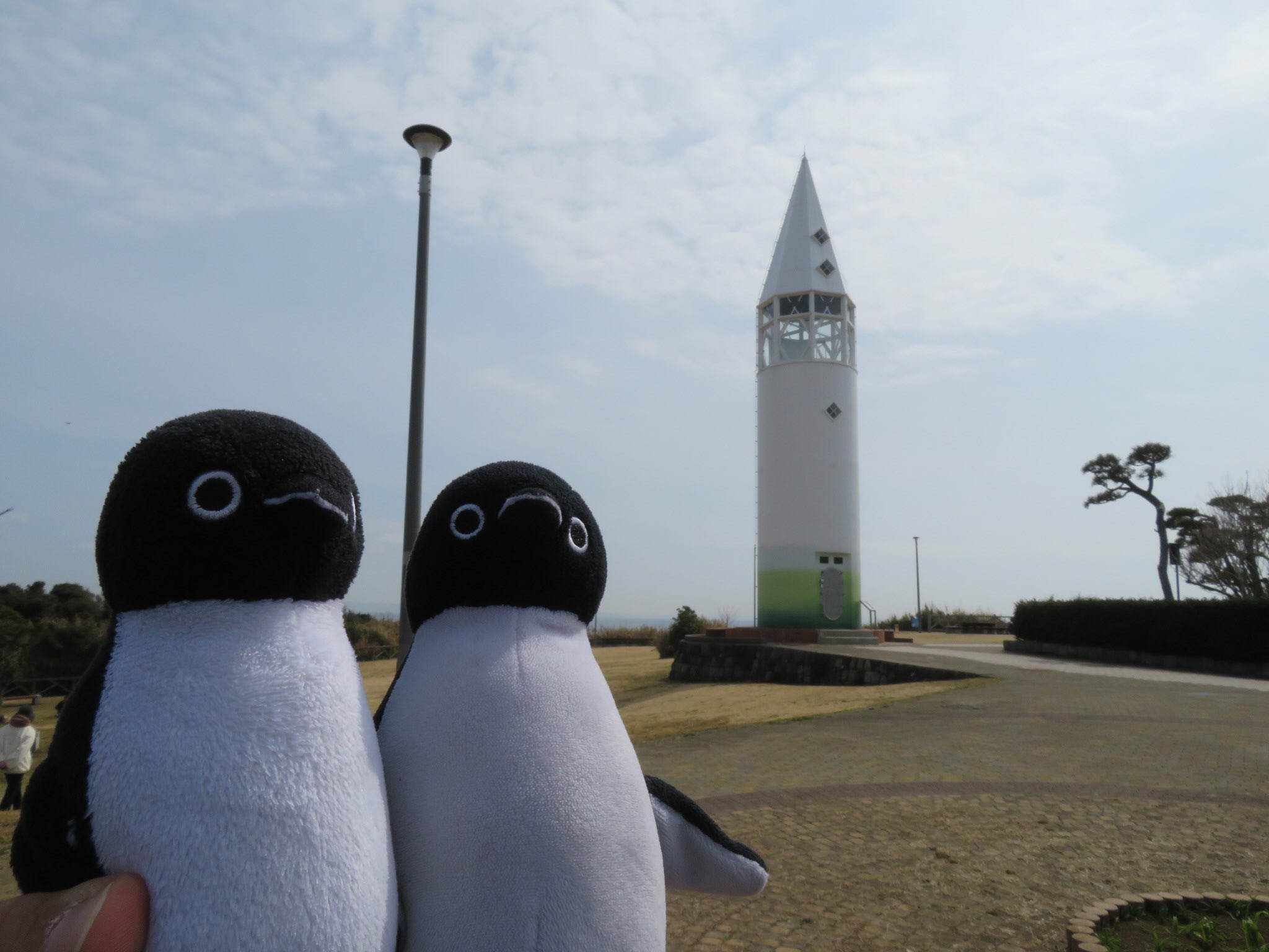スイカペンギン中毒者y Ysuicapennginn Twitter