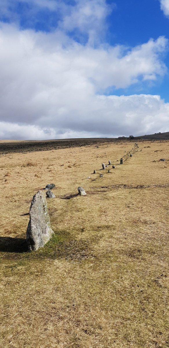 CathyHaglington's tweet photo. #StoneRows
#Dartmoor
#Devon https://t.co/vvthcDbrDz