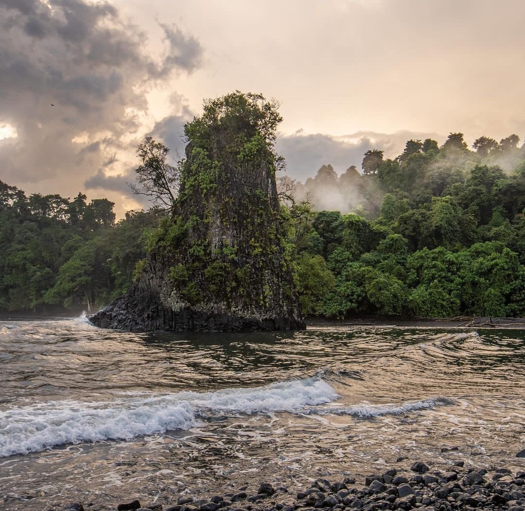 guineaturismo's tweet photo. Nada mejor que despertar y tener las vistas de la playa de Moaba cómo primera imagen del día.
📍Bioko Sur.
📷 Justin Jay
#guineaturismo #guineaecuatorial #playademoaba #biokosur https://t.co/OOZhPoXHTY