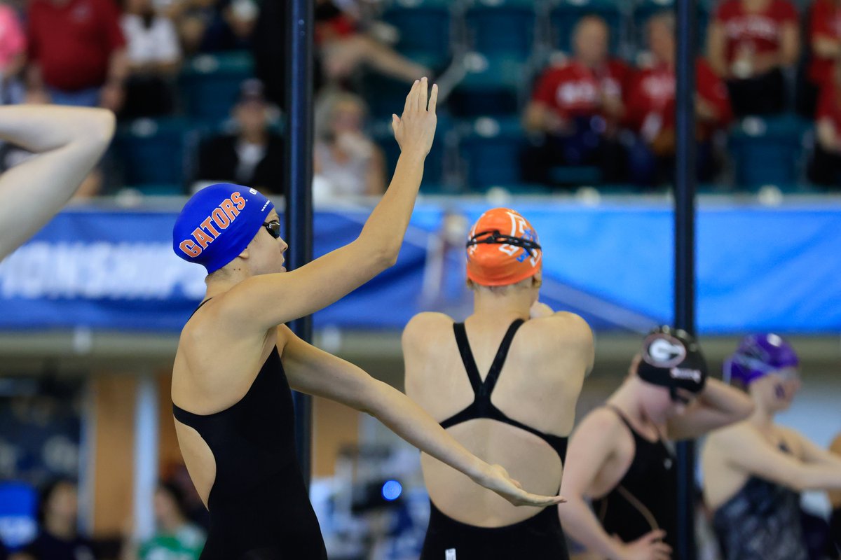 GatorsSwimDv tweet picture