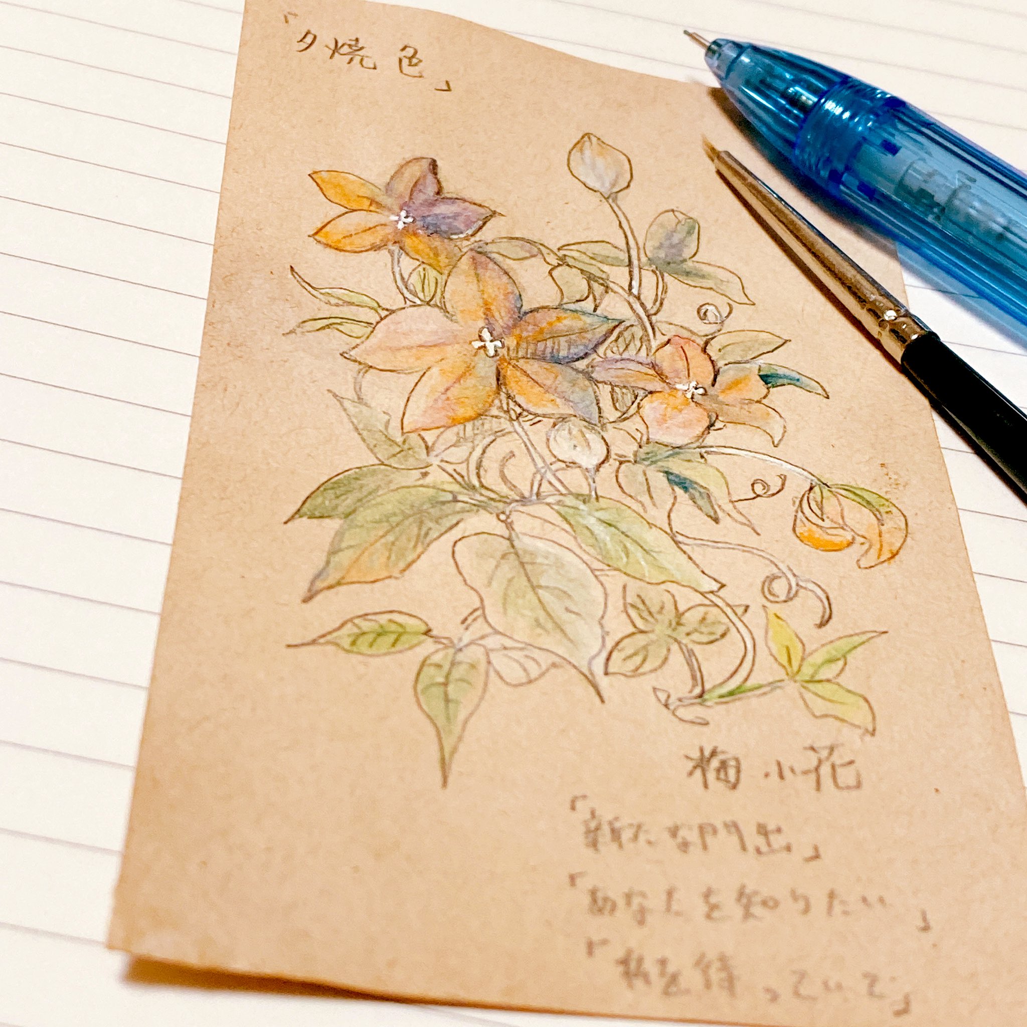 Twitter এ 梅小花 仄暗い森の遊園地 月と星 Tsukushi Poket Nagoya 診断メーカーより 花の名前 梅小花 色 夕焼け色 香り とろりと甘い 見た目 大ぶりの星形 蔓がのびる 花言葉 新たな門出 あなたを知りたい 私を待っていて T Co