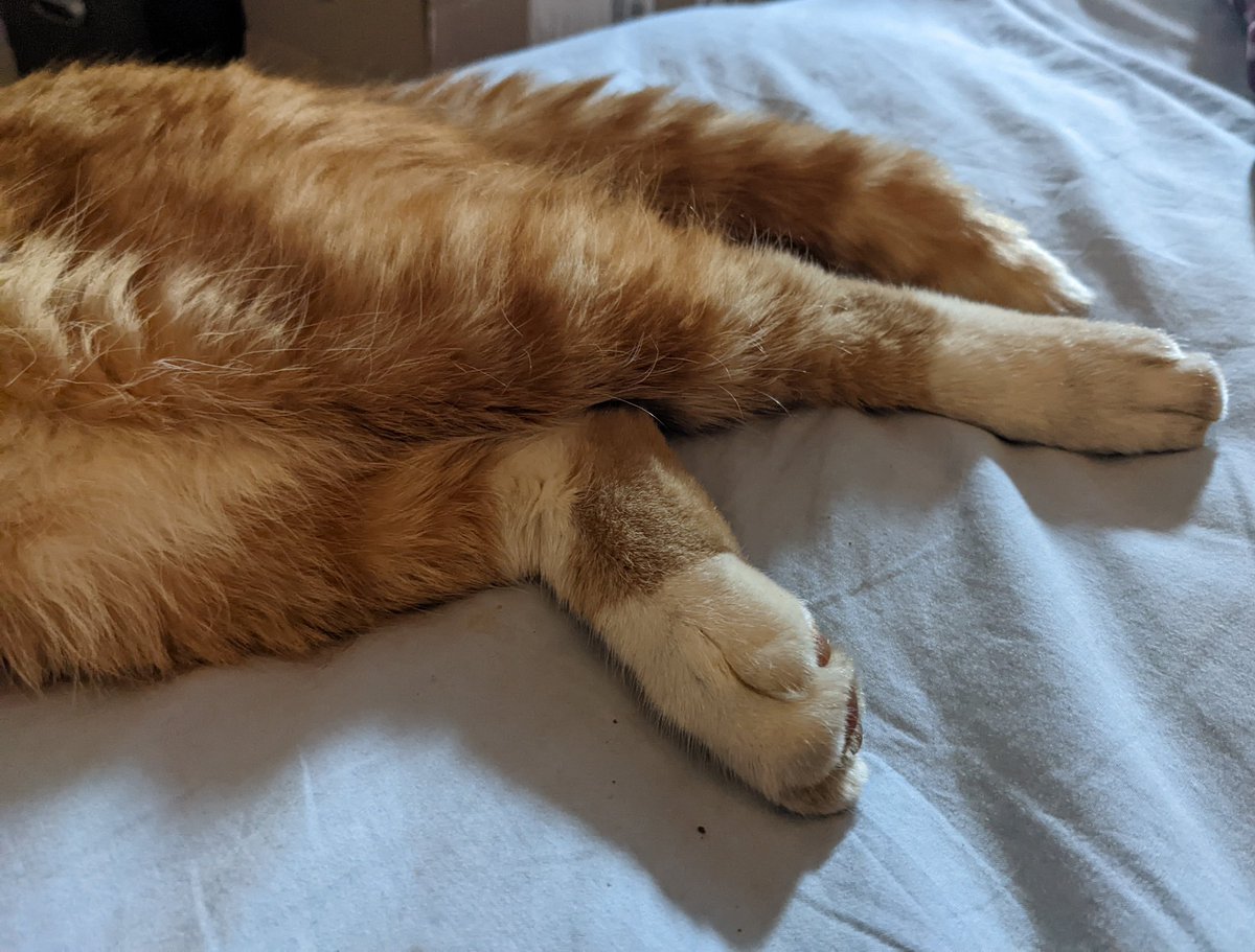thegoodcatboy's tweet photo. flat ,friemd friday !! https://t.co/KBEHFWjS5a