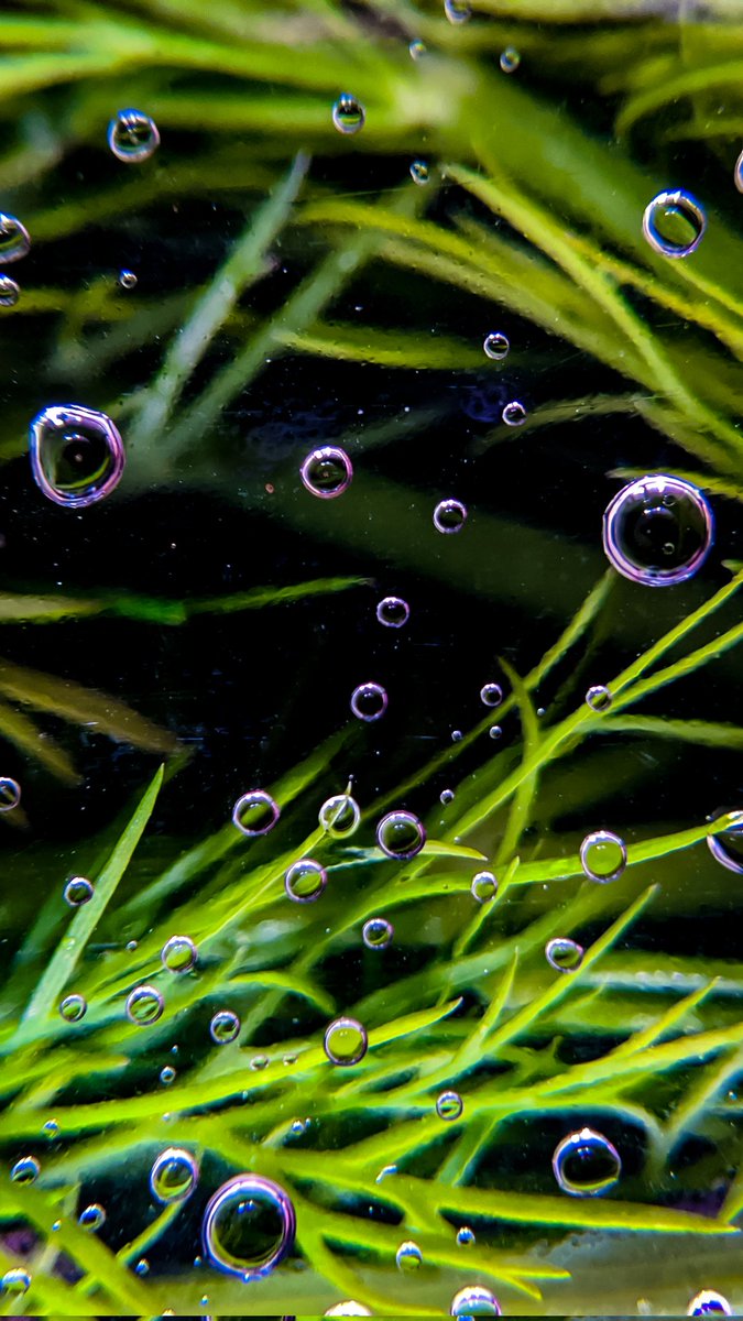 WanderingFrames's tweet photo. Hey Photographers!!! It's Friday 🥳. Let's share some #FridayFreshness shots here. 

Would love to see your friday freshness.
.
Retweeting all 🔄🔄 https://t.co/dMCllkvg3h
