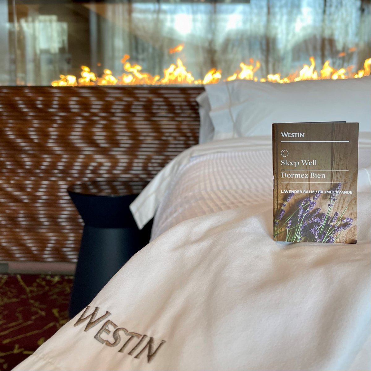 Today is World Sleep Day and the perfect day to create new healthy habits so you can #SleepWell. 💤

SLEEP TIP #1: Natural sunlight or bright light during the day helps improve daytime energy, as well as nighttime sleep quality and duration. Take a moment to catch some sun.