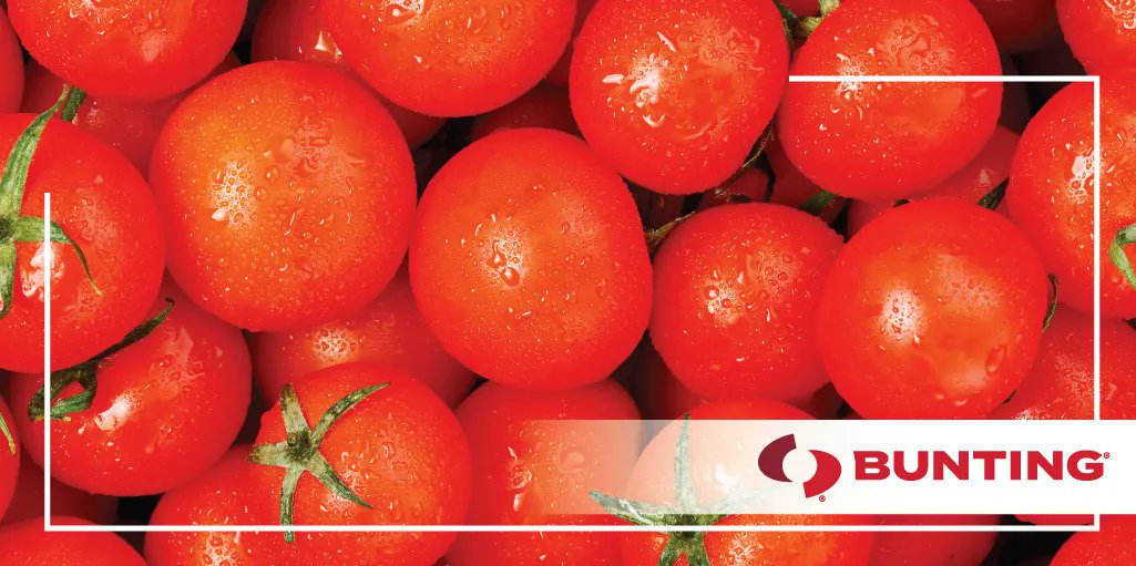 Bunting_Mag's tweet photo. Bunting keeps Veggies, Salsa, Juices, Soups and Baby Food SAFE with our #MagneticSeparation and #MetalDetection products! Get the Scoop ➡️ https://t.co/pYRfzpG1hV
#Bunting #VegetableProcessing #FoodProcessing #FoodIndustry https://t.co/qpdbm6c3TQ