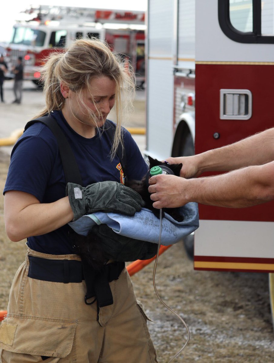 SarniaFire's tweet photo. Her first week on the job and @SarniaFire newest Recruit Firefighter Dani Girard is already helping save family pets! This little one was rescued from a structure fire Thursday afternoon. https://t.co/vtRh5oIc0m