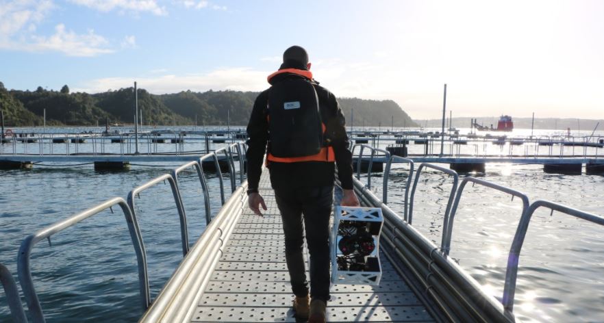 mundoacuicola's tweet image. Detallan la historia del primer ROV made in Chile destinado a operaciones en centros de cultivo
mundoacuicola.cl/new/detallan-l…