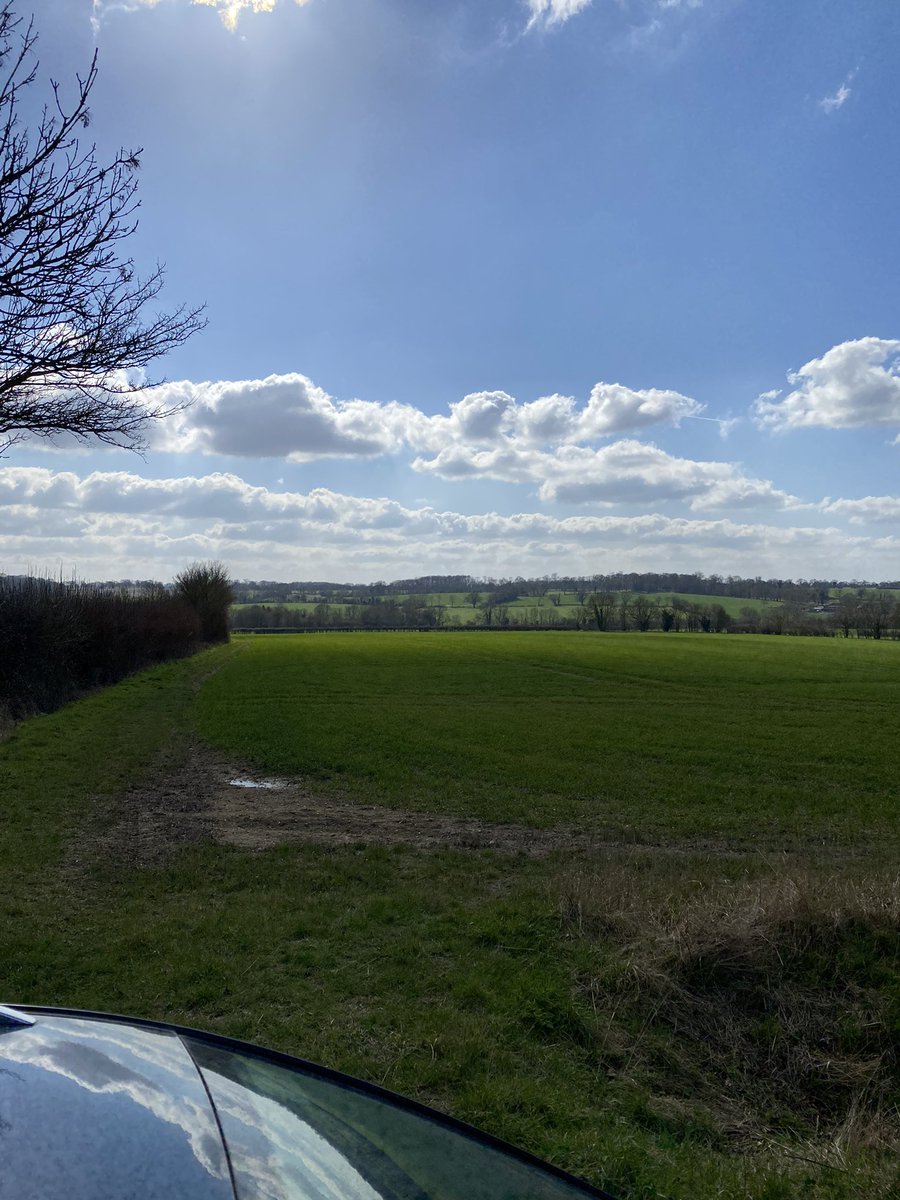 BidwellPatrick's tweet photo. Beautiful day out on farm in north Essex https://t.co/WZ0aNMZXyI