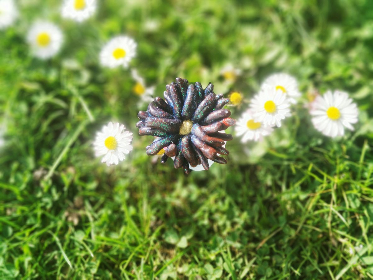 EbibiGlass's tweet photo. ✨ tirage au sort ✨

Ce kodama fleur a subi une réparation, mais il est à adopter pour fêter l'arrivée du printemps et le retour des pâquerettes !

RT + Follow pour participer 

Tirage le lundi 21 Mars à midi

https://t.co/HpzOkl7jn4 https://t.co/eqUNi2JFR9