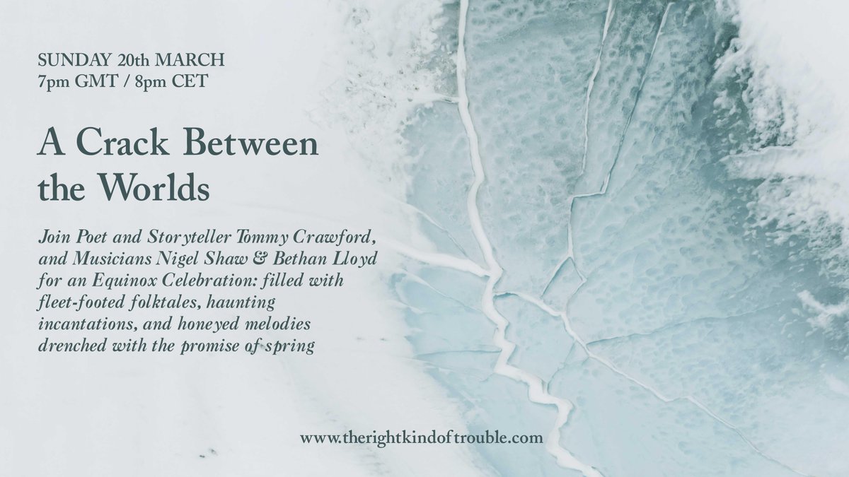 Dancing Fox tweet media