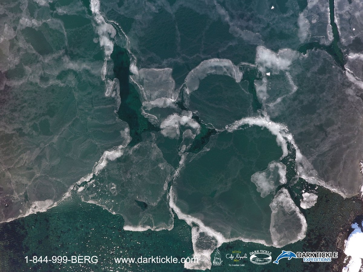 Slob ice darktickle.com #darktickle #exploreNL #exploreCanada #outdoors #nature #photography #Newfoundland #Labrador #nlwx #winter #ocean #climatechange