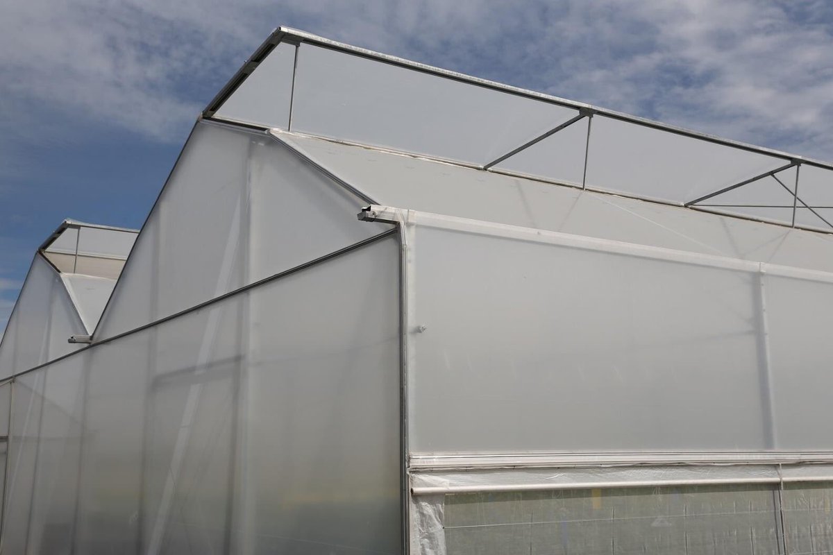 Let us all use #Greenhouse to grow larger quantities and better qualities of crops. <a href="/RwandaAgri/">Ministry of Agriculture & Animal Resources |Rwanda</a> <a href="/RwandAgriExport/">NAEB</a> @SAIP_SAPMP <a href="/SunripeR/">Sunripe Farms Rwanda</a> <a href="/EzaNezaRwanda/">Eza Neza</a> @IwacuF <a href="/PrideFarms_Ltd/">Pride Farms Ltd.</a> @Yallayallagrou1 <a href="/HoReCo_Rw/">HoReCo-Rwanda</a>