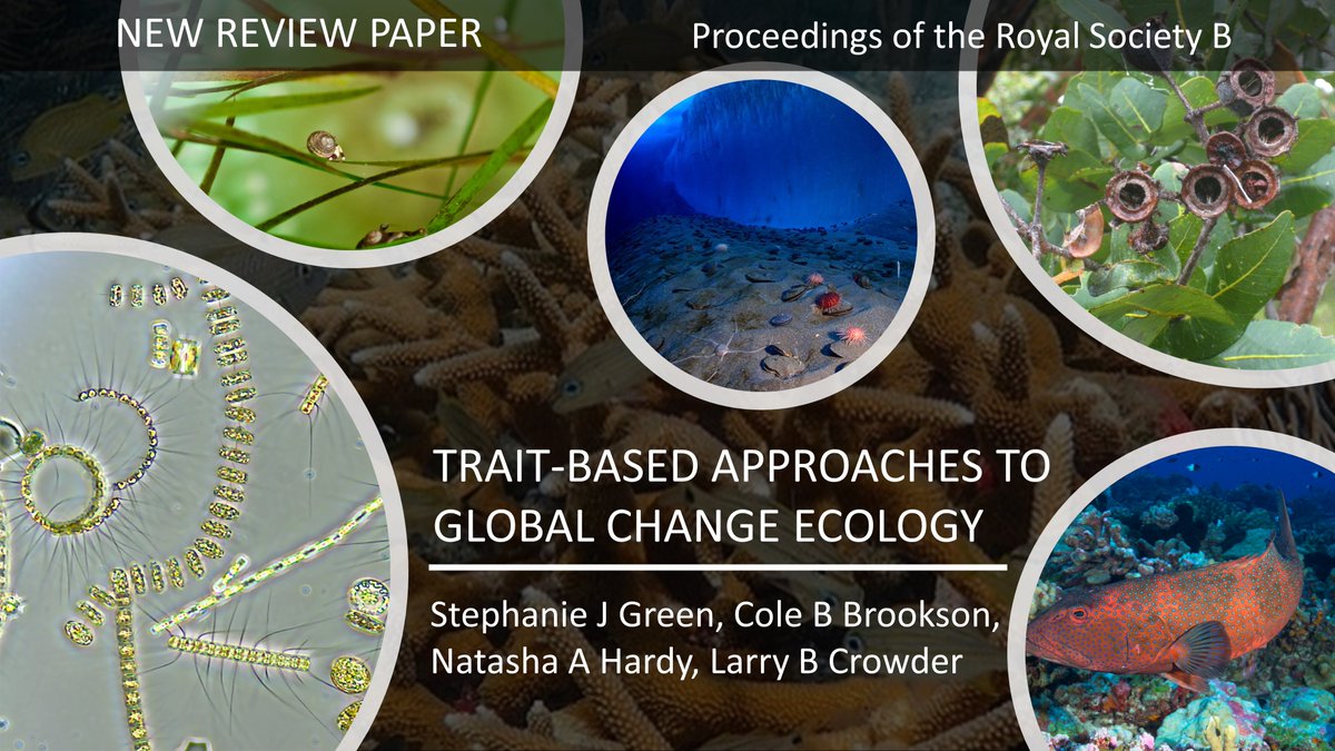 Dr. Stephanie Green tweet media