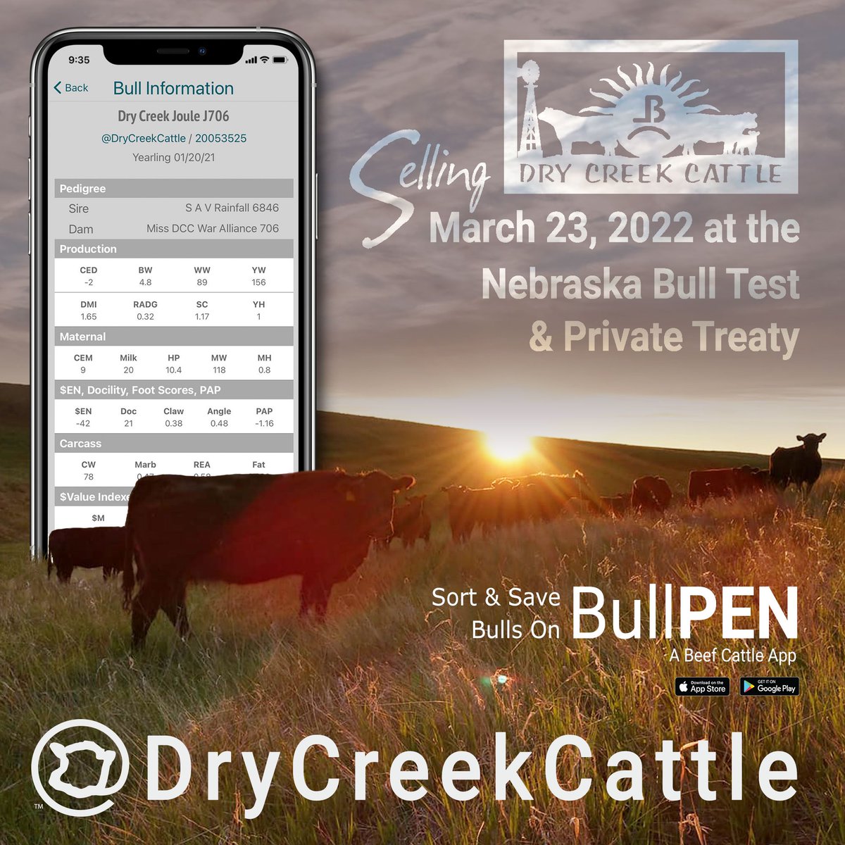 getpenned's tweet photo. Dry Creek Cattle Co. bulls selling privately from Ravenna, NE and at the Nebraska Bull Test in Broken Bow on March 23, 2022 https://t.co/OSec4ZsMxn to see them in the app! #nebraskabulltest #angus @DryCattle https://t.co/qSOsfaOaZi
