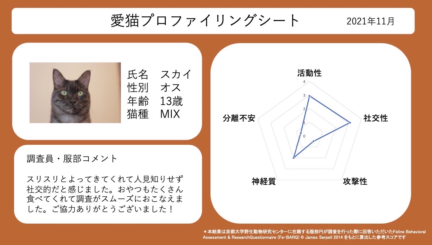 京都大学野生動物研究センターwildlife Research Center メス猫の飼い主さん募集中 京都大学野生 動物研究センター博士後期課程1年の服部円です 猫とヒトとの関係性の調査を行っています 調査にご協力いただける メス猫さんと飼い主さんを募集し 京都大学野生動物研究センターwildlife Research Center メス猫の飼い主さん募集中 京都大学野生 動物研究センター博士後期課程1年の服部円です 猫とヒトとの関係性の調査を行っています 調査にご協力いただける メス猫さんと飼い主さんを募集し
