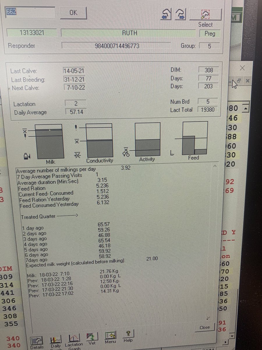 She’s a keeper! 19380 kgs in second lactation .still at 57kg/day and pregnant to boot lol