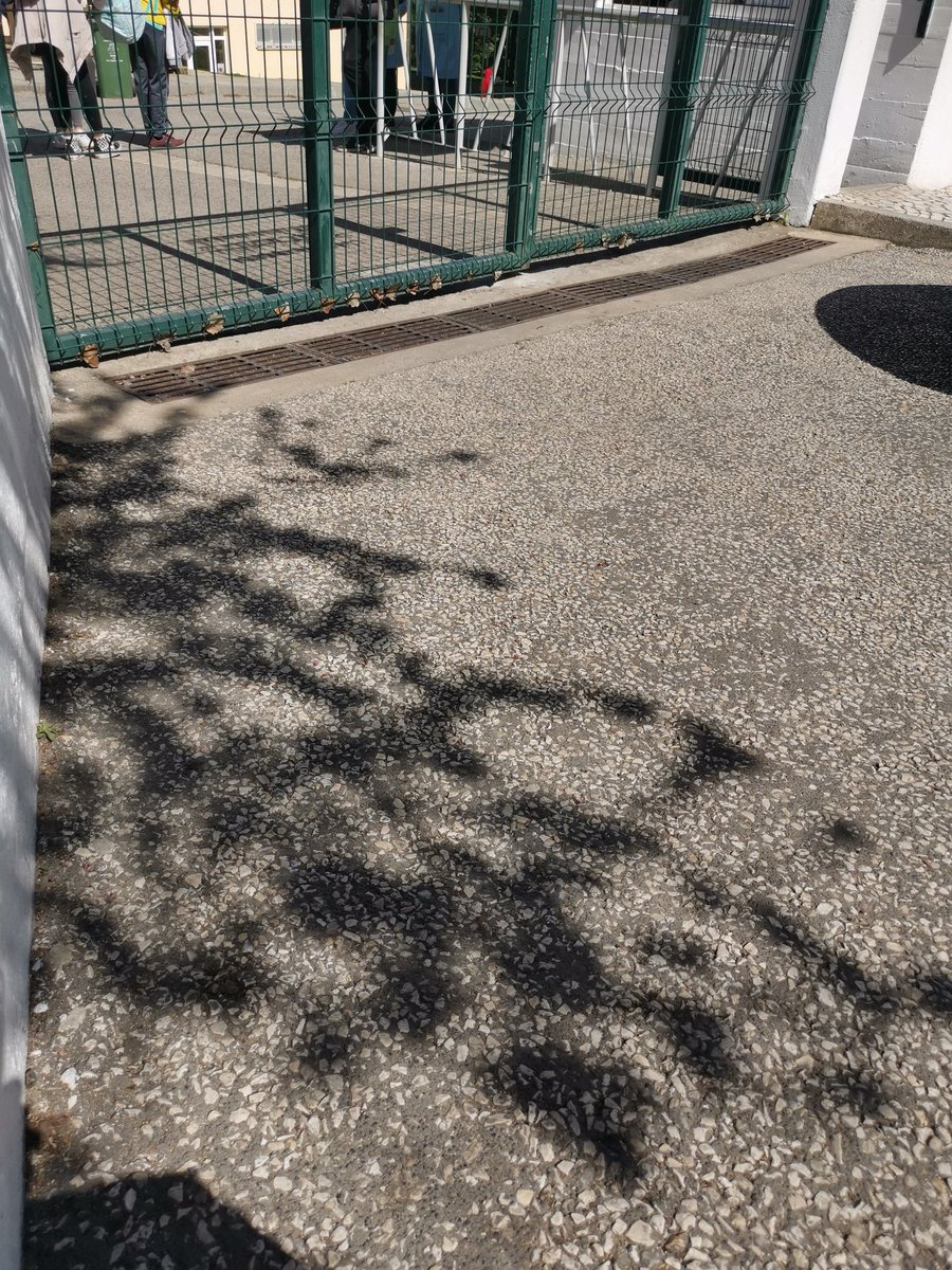 BragaBorges's tweet photo. Estou à porta da escola do meu filho à espera que saia. As aulas acabaram as 13:20. Liguei-lhe a perguntar porque demora tanto e respondeu que está a ajudar uma colega a fazer os TPC do fim de semana, porque ela fica com a avó e a senhora não a consegue ajudar. https://t.co/5z0nXAaiLR