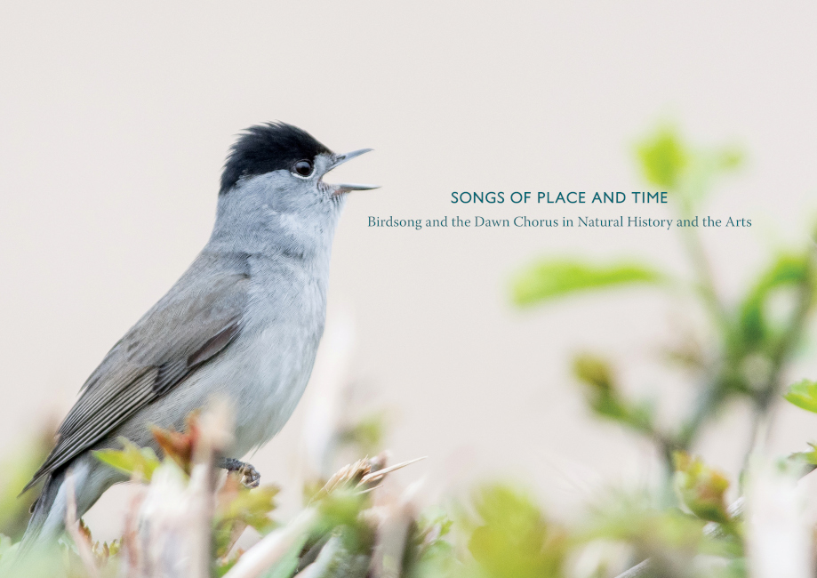Cornerhouse Publications tweet media