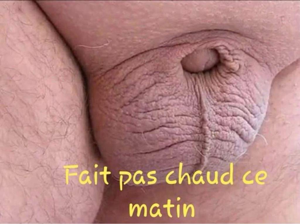 bebe_coquin's tweet photo. @YvesRivet3 Le coquin a froid 🤣🤣🤣 https://t.co/kB7fd85MoW