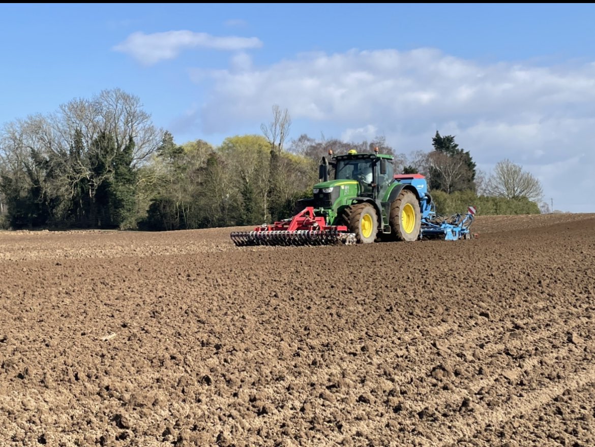 Spring is in the air today, first ewes and lambs turn out to grass and drilling peas for <a href="/HMCPeas/">HMC Peas</a> 🐑 ☀️ 🚜 #spring #lambing #agriculture