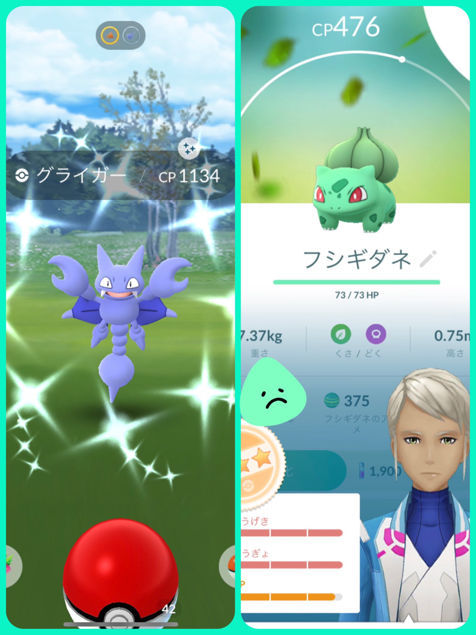 Chiichan えっ 昨日に続き3体目の 色違いグライガー ジョウトで欲しくて全くやったのに 高個体値フシギダネもget 今日は雨の中 美容室 いっぱい歩いてクタクタ 珍しく1つもレイド出来なかった タスクはいつも以上に