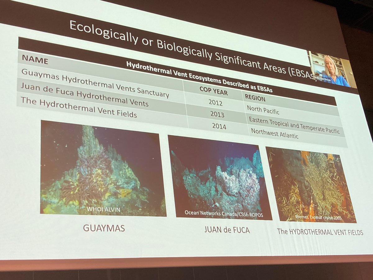 GOBIsecretariat's tweet photo. GOBI partners @HazinCarolina from @BirdLife_Policy and @cindyvandover &amp; @bettamenini from @oceans@duke highlight the importance of seabird tracking data and hydrothermal vents in the #EBSA portfolio. #SBSTTA24 @UNBiodiversity https://t.co/EmmwesAx6m