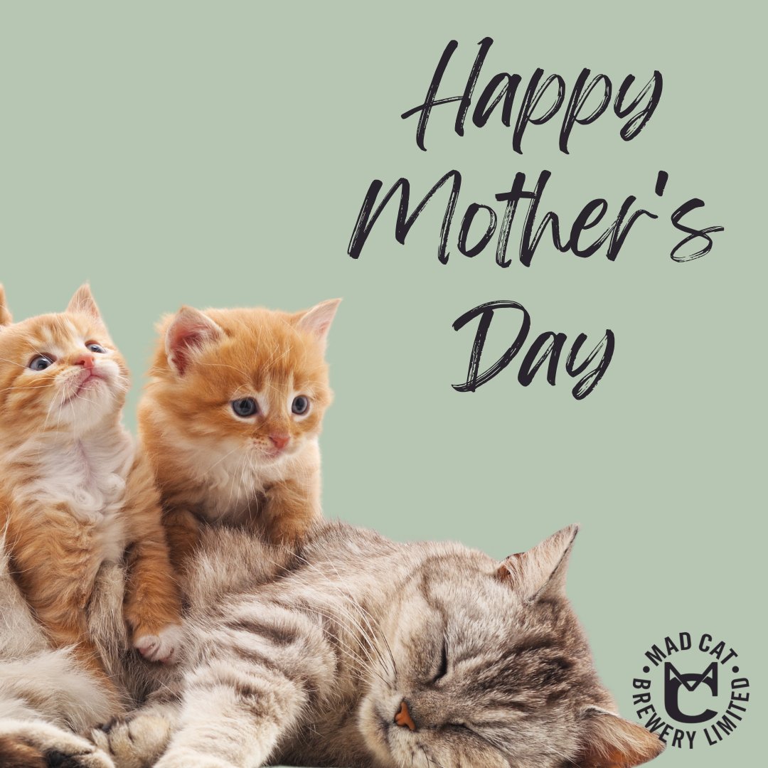 Happy Mother's Day to all the Mums and the cats mothers!