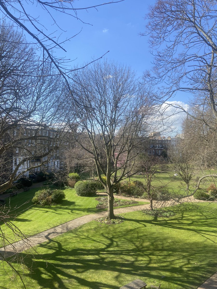 The hidden garden behind Warwick Road looking gorgeous today!
