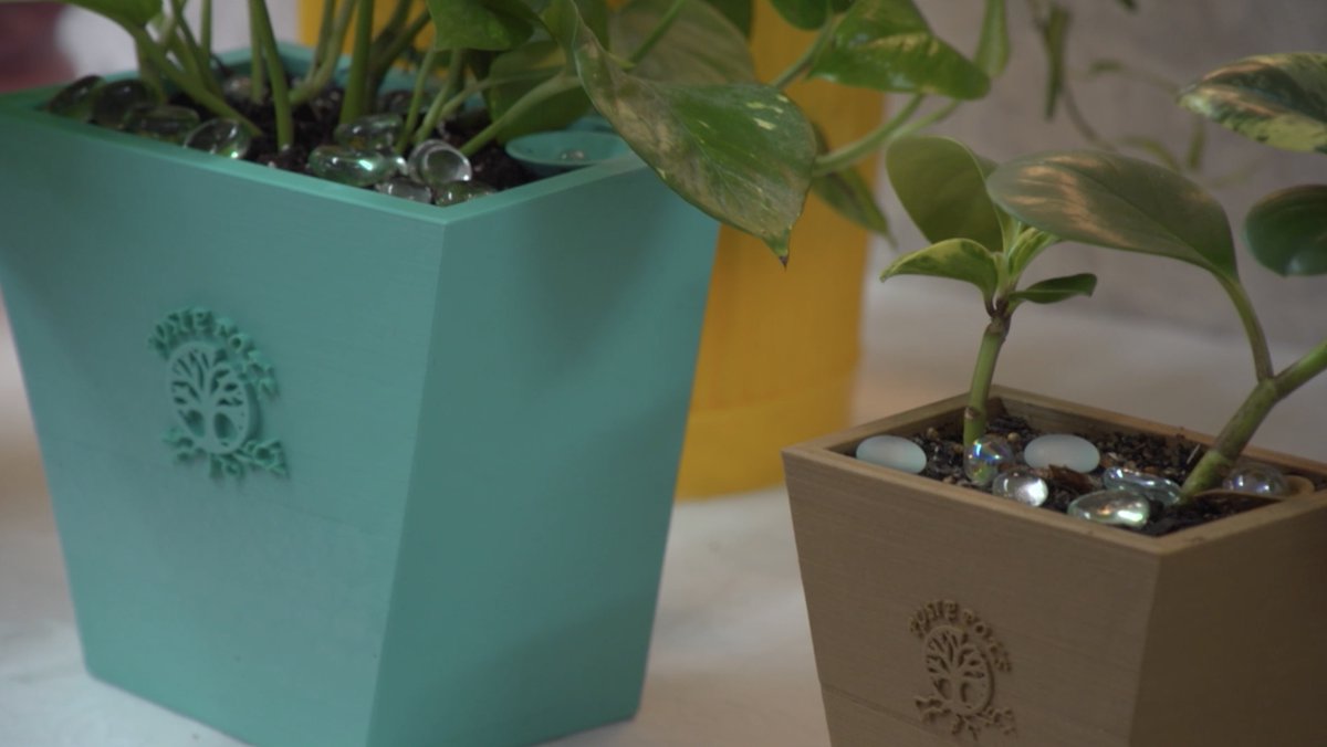 Nine PBS tweet media