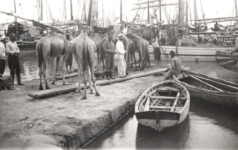 Blueyonetwo's tweet photo. Camels being unloaded at #Famagusta harbour/ 1904/ Camel trains were very common and useful in #Cyprus at that time//Mostly carrying agricultural produce!/ Develer #Magusa limaninda gemilerden indirilirken/#Kibris #Colonialtimes https://t.co/Oy7fXjE2va