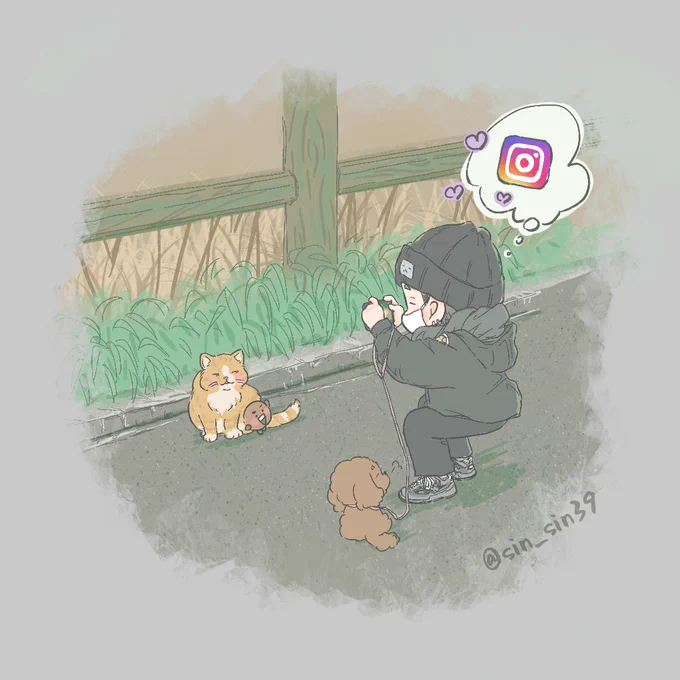 🐈🐾 