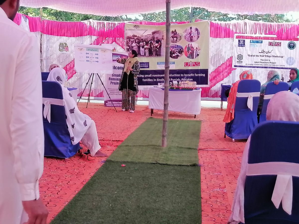 Small Ruminant Project (@ruminantssmall) on Twitter photo <a href="/RuminantsSmall/">Small Ruminant Project</a> Punjab team has successfully conducted End Trial workshop of creep feeding in village Bhurpur, Chakwal. More than 60 female farmers participated & learnt about creep feeding & it's results along with other managemental diseases like diarrhea & brucellosis. <a href="/RuminantsSmall/">Small Ruminant Project</a> Punjab team has successfully conducted End Trial workshop of creep feeding in village Bhurpur, Chakwal. More than 60 female farmers participated & learnt about creep feeding & it's results along with other managemental diseases like diarrhea & brucellosis.