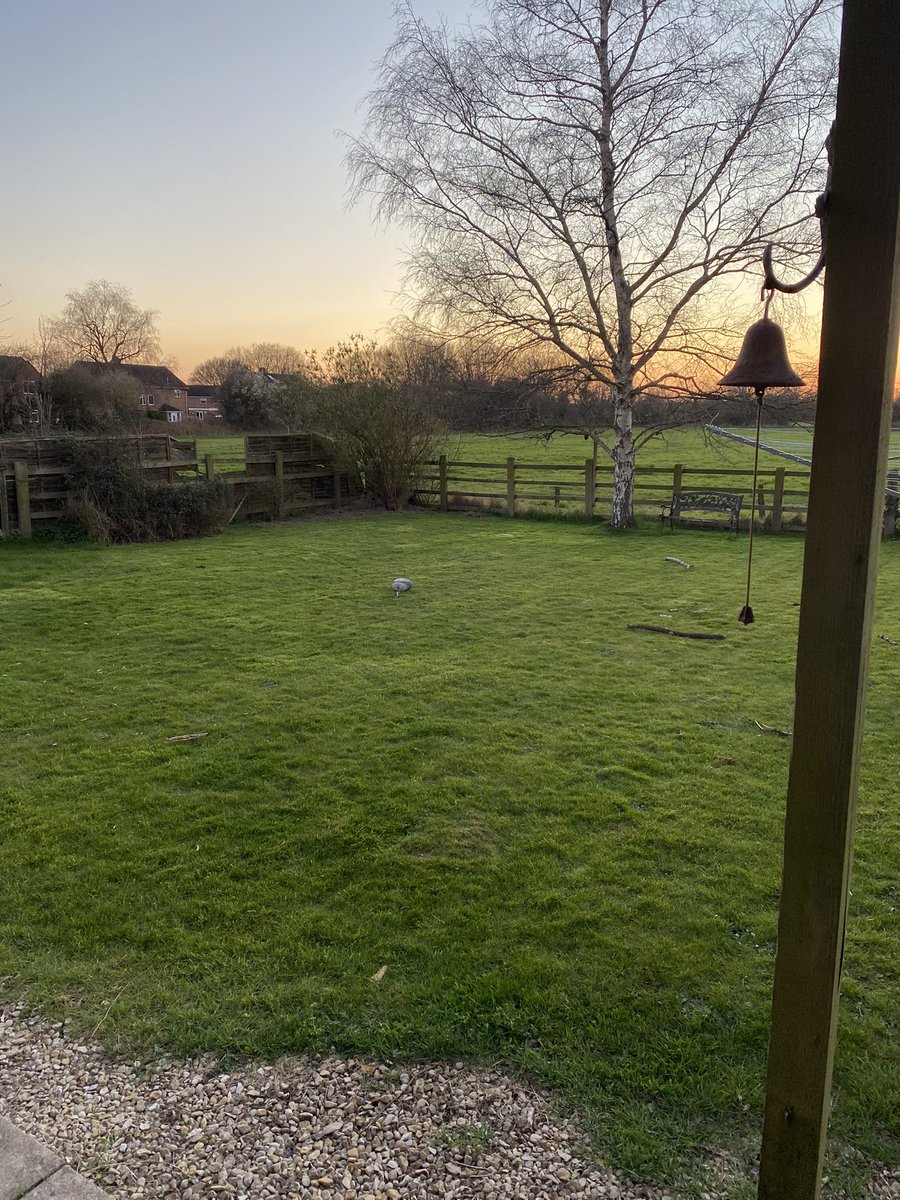 Andy Feltham tweet media