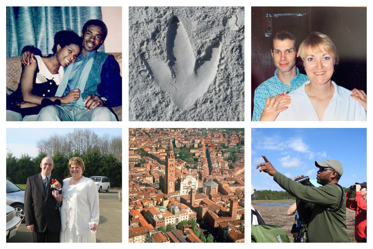 This is Love tweet media