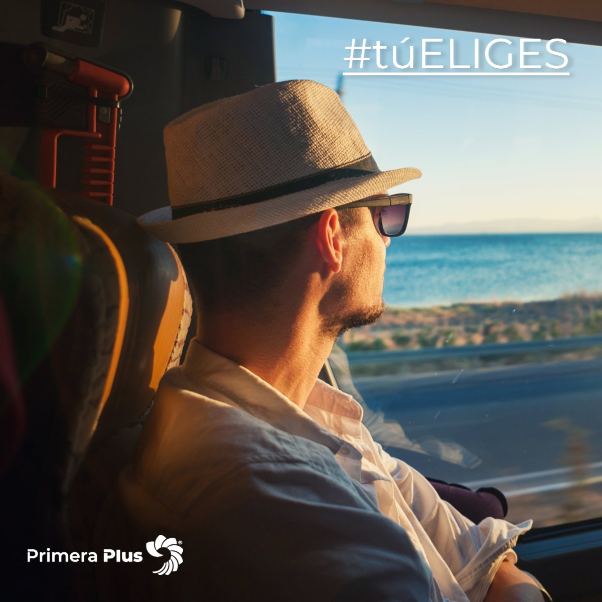 Primera_Plus's tweet photo. Bonito es...
Todos los paisajes que se muestran por esa gran pantalla.
Esto sí que es Bonito...
#PROMOS EN TODAS LAS RUTAS
Comprando en https://t.co/HjFCsuBXdq
#Viajero #Vacaciones #Turifan https://t.co/EdnK6ZHtLi